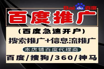 SEM代理服务：案例分享，效果显著
